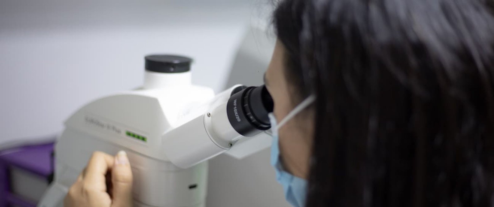Laboratoire Atf KAMOUN 2